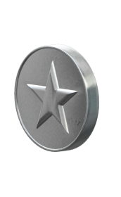 Fortune Silver Icon